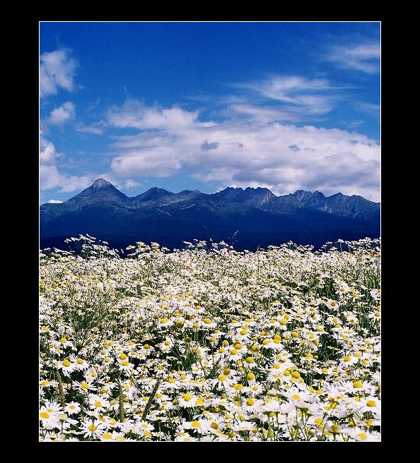 TATRY II.