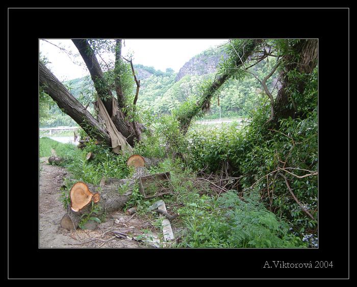 <b>Člověk?</b>