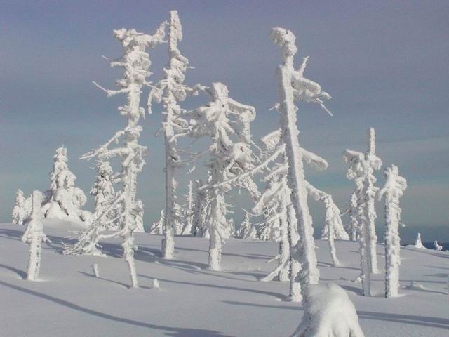 Krkonosska idylka