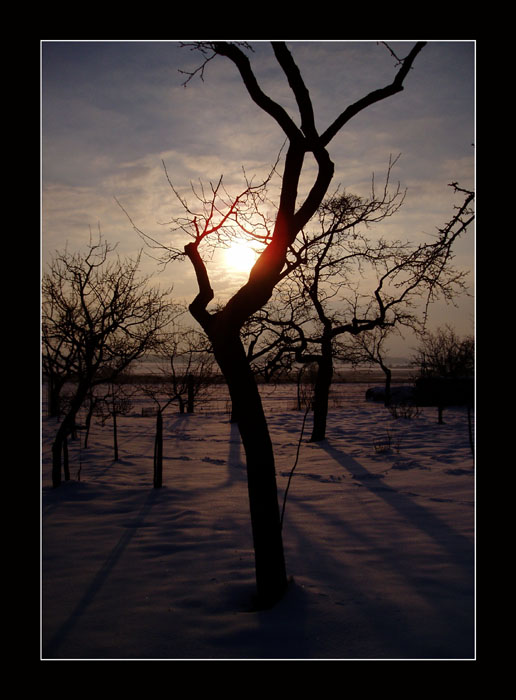 ZimníZahrada (2004)