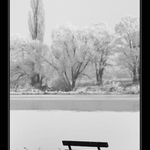 U zamrzlého Labe II.