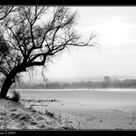 U zamrzlého Labe III.