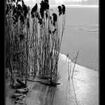 U zamrzlého Labe VI.