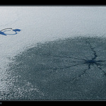 U zamrzlého Labe VIII.