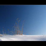 .:winter minimals I.::.