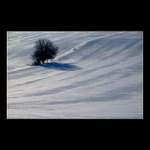 .:winter minimals II.::.
