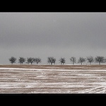 .: horizont :.