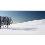 <b>= Winter country =</b>