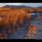 <b> - U Nás - po X.té . - </b>