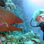 Blízká setkání...