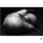 <B><I>Cviceni: Hrusky I</I></B>