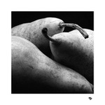 <B><I>Cviceni: Hrusky II</I></B>