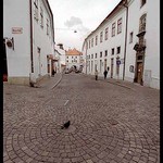 Já jsem tu králem!