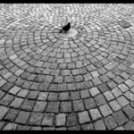 Já jsem tu králem II!