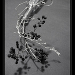 Drátkování a co z toho