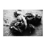 Nalezena alegorie konce detstvi