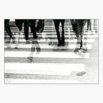 <b><i>Každý svou cestou</b>