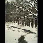 Zimní nálada na Kamenici