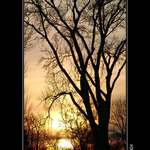 "ZÁPADOFKA-STROMOFKA"