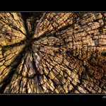 "ŠTRUKTÚROFKA"
