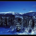 Variace v modré IV - krása klasická