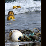 <b>Spoutaní mořem II </b>