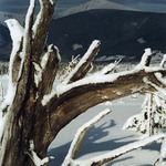 Krkonošské paseky