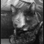 Ještě jednou a jdu spát jinam!