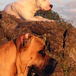 .: strážci skály :.<br>