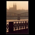 Ranní toulky po nábřeží .