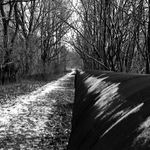 .. Cestou trubeční I..