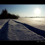 - - R A N O  IV. - -