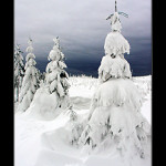 <b>Kousek jizerské přírody</b>