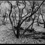 Letní požáry v Chorvatsku