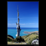 Vzpomínka na Nový Zéland