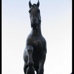 Košický jednorožec