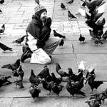 Prayer for the birds