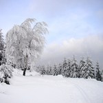 Krkonošská