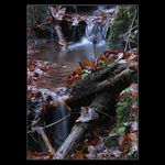 <b>..Podzimní potůček..