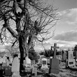 Bohem zapomenuté...