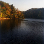 Dalesicka prehrada