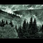 Drama v Lesním divadle