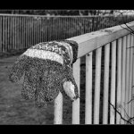 Podaná ruka byla cizí