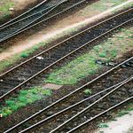 Kampak nás dovedou?