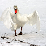 <b>A nebudeš fotit!!!</b>