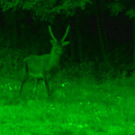-= NIGHT VISION =-