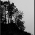 silueta