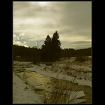 Na zlatém potoce...