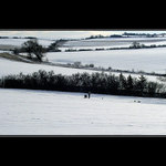 Sám se svými psy...