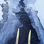 Tak to bylo vo fous!